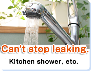 Can't stop leaking.